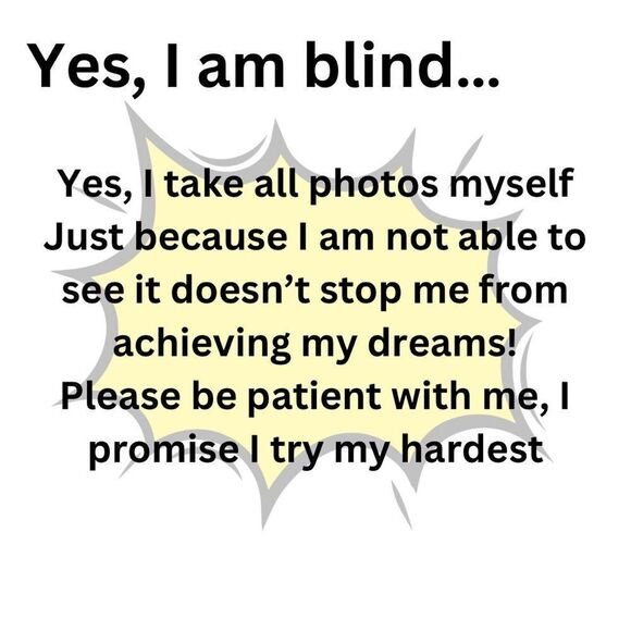 Vintage 1988 "Missing the Point" Irish Setter
Collector Plate by Lynn Kaatz - Picture 2 of 7